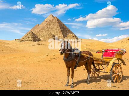 Carrozza a cavallo vicino a grandi piramidi nel deserto di Giza, Egitto Foto Stock