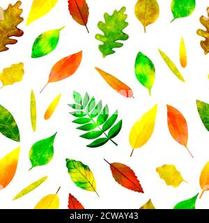 Motivo senza cuciture foglie di autunno colorate su bianco Foto Stock
