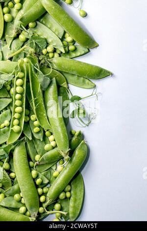 Mucchio di giovani piselli verdi biologici dolci in cialde con germogli su sfondo grigio. Disposizione piatta, spazio di copia Foto Stock