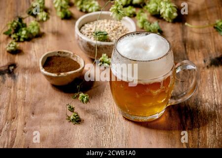 Tazza di vetro classica di birra fresca fredda e schiumosa di lager con coni di luppolo verde, grano e malto fermentato rosso in ciotole di ceramica dietro su tessitura di legno Foto Stock