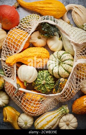 Varie mini zucche colorate in borsa per la spesa stringa. Halloween o giorno del Ringraziamento Foto Stock