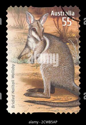 AUSTRALIA - CIRCA 2009: Un francobollo annullato dall'Australia che illustra l'australiano Wallaby, rilasciato nel 2009. Foto Stock