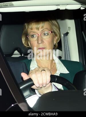 Fotografia di Andrea Leadsom. Andrea Jacqueline Leadsom (1963-) un politico conservatore britannico che serve come Segretario di Stato per il Business, l'energia e la strategia industriale. Foto Stock