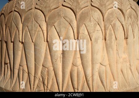 L'Apadana o Sala dell'udienza di Persepolis, capitale cerimoniale dell'Impero achemenide, in Persia Foto Stock