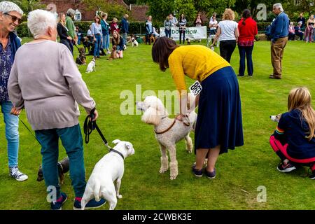 Un tradizionale spettacolo di cani all'Hartfield Village Fete, Hartfield, East Sussex, Regno Unito. Foto Stock