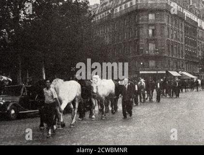 Fotografia in bianco e nero relativa ai primi giorni della guerra a Parigi; richiesta di cavalli per la guerra. Foto Stock