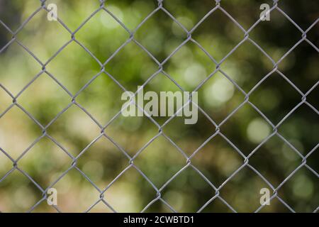 Recinzione griglia in acciaio, filo recinzione in metallo con erba sullo sfondo. Foto Stock