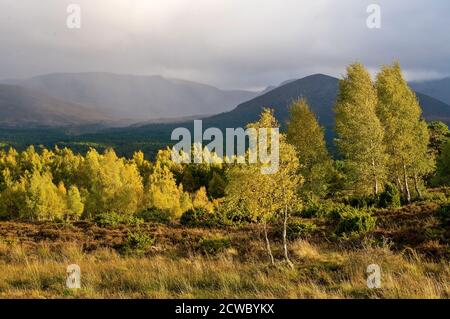 Gli acquazzoni autunnali scivolano attraverso il Lairig Gru nel Cairngorms National Park Aviemore Scotland. Foto Stock