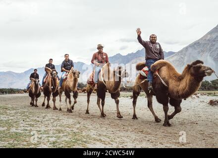 Hundar villaggio nel distretto di Leh , Jammu e Kashmir, India - 21 agosto 2016: I turisti cavalcano i cammelli unici del deserto di montagna più alto. Molto popu Foto Stock