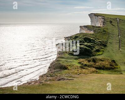 Chalk Cliffs, South Downs, Inghilterra. Le aspre scogliere bianche sulla costa meridionale dell'Inghilterra che si affaccia sulla Manica. Foto Stock