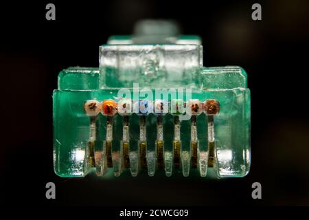 Vista angolare frontale in sezione macro di RJ45 CAT6 schermato connettore trasparente del cavo internet dati di rete Foto Stock