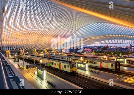 Interni e piattaforme della stazione di Liegi-Guillemins a Liegi Belgio Foto Stock