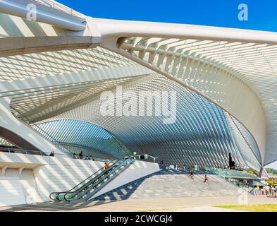 Vista laterale dell'ingresso principale della stazione ferroviaria di Liège Guillemins a Liegi, Belgio. È stato progettato dall'architetto Santiago Calatrava ed è stato aperto nel 20 Foto Stock