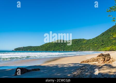 Bella e selvaggia spiaggia brasiliana in una giornata di sole Foto Stock