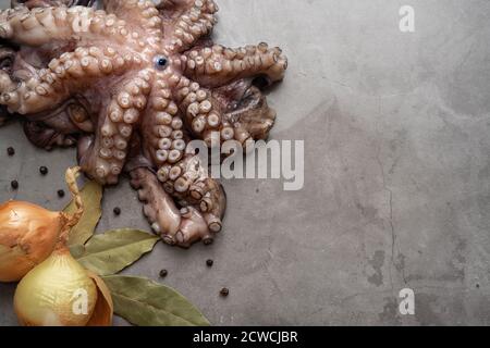 Polpo intero crudo con due cipolle gialle, foglie di alloro e semi di pepe su una superficie di calcestruzzo con spazio di copia. Foto Stock