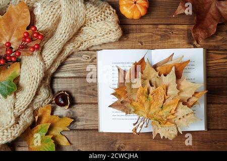 Ciao novembre. Autunno sfondo con libro, rowan, castagne e foglie su tavole di legno. Foto Stock