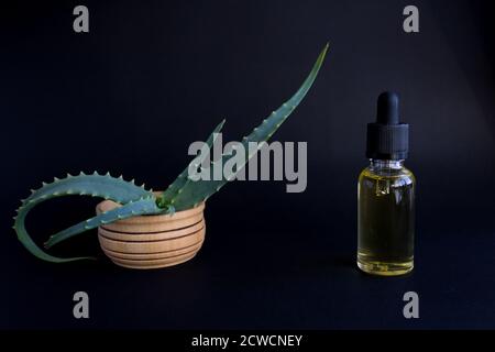 Flacone contagocce con olio essenziale di aloe vera, cura professionale della pelle su fondo scuro Foto Stock