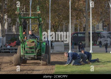 Paesaggisti visto al lavoro con macchinari pesanti e la posa di un nuovo prato sul giardino di Parliament Square. Foto Stock