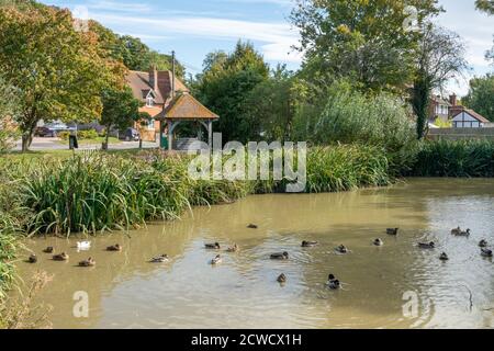 Lo stagno del villaggio in Ilsley occidentale, Berkshire, Regno Unito Foto Stock