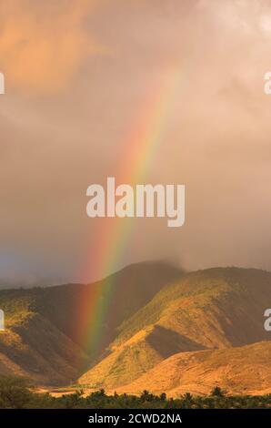 Splendida vista verticale di un arcobaleno sulle montagne occidentali di maui. Foto Stock