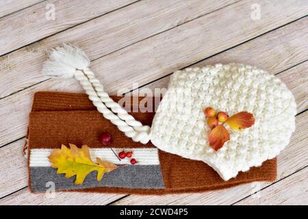 Caldo toto e sciarpa invernale e delizioso cacao caldo con panna montata da sorseggiare e gustare in autunno stagionale giorni dopo le passeggiate in caduta foglie Foto Stock