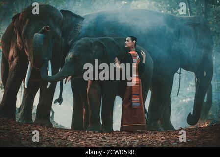 Bella donna tailandese trascorrere il tempo con l'elefante nel giungla Foto Stock