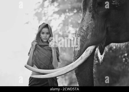 Bella donna tailandese trascorrere il tempo con l'elefante nel giungla Foto Stock