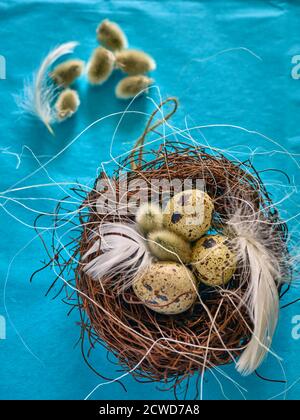 Uova di quaglie. Questa e' la decorazione tradizionale della tavola di Pasqua Polacca. Foto Stock