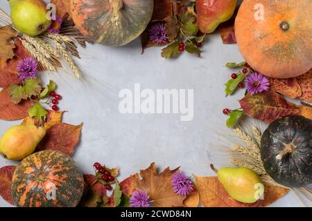 Telaio con raccolta autunnale: Zucche, pere, foglie, galleggianti, viburno e orecchie di grano su grigio. Giorno di ringraziamento. Vista dall'alto Foto Stock