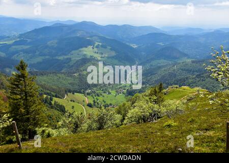 Vista a Kleines Wiesental Walley dal Monte Belchen Foto Stock