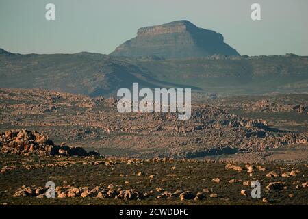 Paesaggi del Capo Occidentale intorno a Kagga Kamma, Sud Africa. Foto Stock