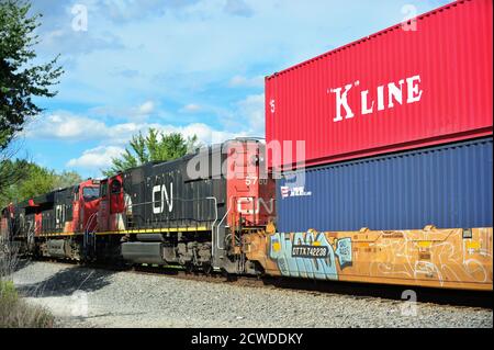 Elgin, Illinois, Stati Uniti. Tre locomotive ferroviarie nazionali canadesi conducono un trasporto intermodale vicino a Spaulding Junction. Foto Stock
