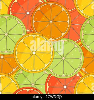 Citrus senza giunture, sfondo di frutti tropicali, illustrazione vettoriale. Illustrazione Vettoriale