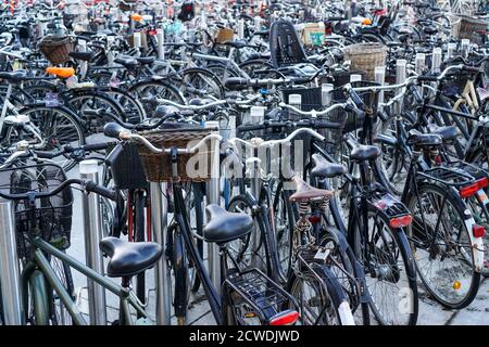Centinaia di biciclette parcheggiate in file Foto Stock