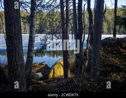 Remi in fibra di vetro verde capovolto presso un lago forestale a Spring , Finlandia Foto Stock