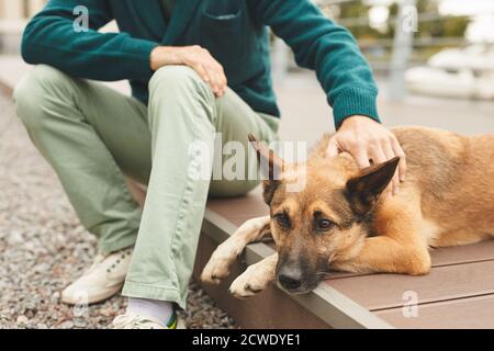 Primo piano di un uomo che stromiccia il suo cane mentre giace sopra il terreno che camminano in città Foto Stock