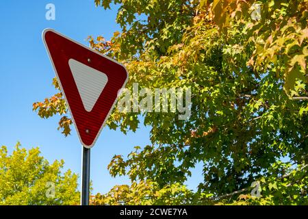 Un segnale stradale di resa montato su un palo di metallo è visto di fronte al cielo blu e foglie verdi, gialle e arancioni all'inizio dell'autunno. Foto Stock