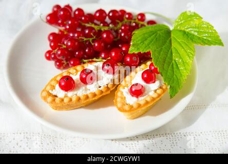 Tartette di ribes rosso fresco con panna montata Foto Stock