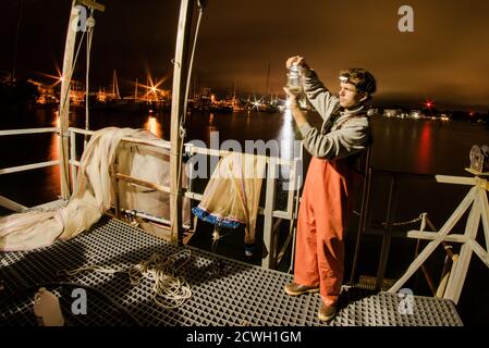 Un ittiologo esamina una giara di esemplari di pesci larvali recuperati dall'oceano Atlantico per la ricerca sulla pesca. Foto Stock