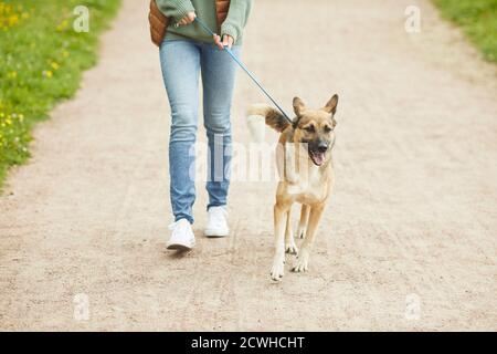 Primo piano di donna che cammina con il suo animale domestico lungo il percorso nel parco Foto Stock