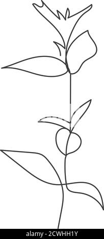 Una pianta disegnata in un vettore da una linea continua. Illustrazione Vettoriale