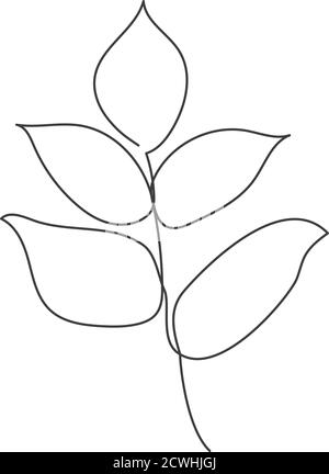Una pianta disegnata in un vettore da una linea continua. Illustrazione Vettoriale
