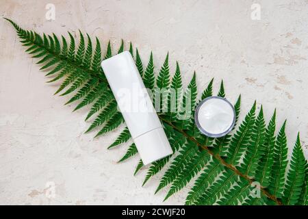 Tubo di lozione cosmetica e vaso crema su foglia di felce, fondo bianco. Cosmetici naturali biologici. Vista dall'alto, disposizione piatta. Foto Stock