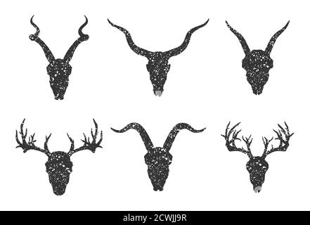 Insieme vettoriale di sei teschi di animali cornati disegnati a mano: Antilopi, cervi e capre su sfondo bianco. Silhouette nere con texture grunge nella vecchia sk Illustrazione Vettoriale
