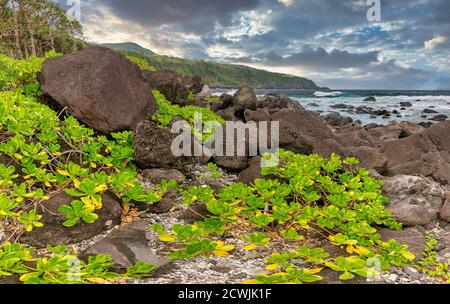 Nel tardo pomeriggio sulla linea costiera vicino a Vincendo (Costa Sud dell'isola la Reunion) Foto Stock