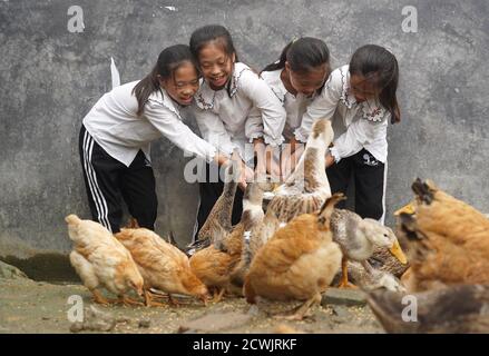 (200930) -- PECHINO, 30 settembre 2020 (Xinhua) -- le ragazze del quadruplet di una famiglia che ha scosso la povertà in 2019 alimentano il pollame nel paese nel villaggio di Shangbao, Ganzhou City della provincia di Jiangxi della Cina orientale, 10 settembre 2020. (Xinhua/WAN Xiang) Foto Stock