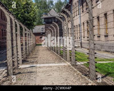 Auschwitz, Oświęcim Polonia - 05 giugno 2019: Visitatori che guardano la galleria fotografica dei prigionieri. Campo di concentramento nazista di Auschwitz Birkenau Foto Stock