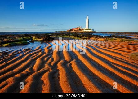 St. Mary's Lighthouse, Whitley Bay, Tyne and Wear, Inghilterra Foto Stock