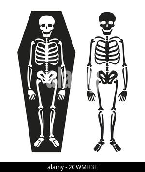 Scheletro nella bara. Illustrazione vettoriale del simbolo della morte Illustrazione Vettoriale