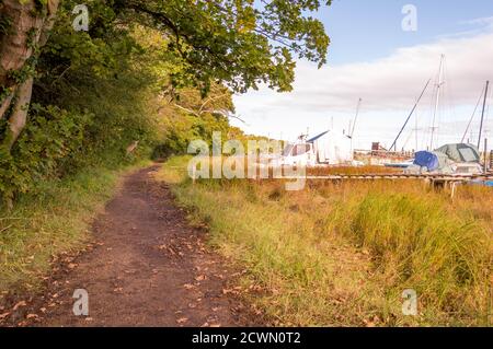 Camminando su un sentiero vicino al fiume Foto Stock